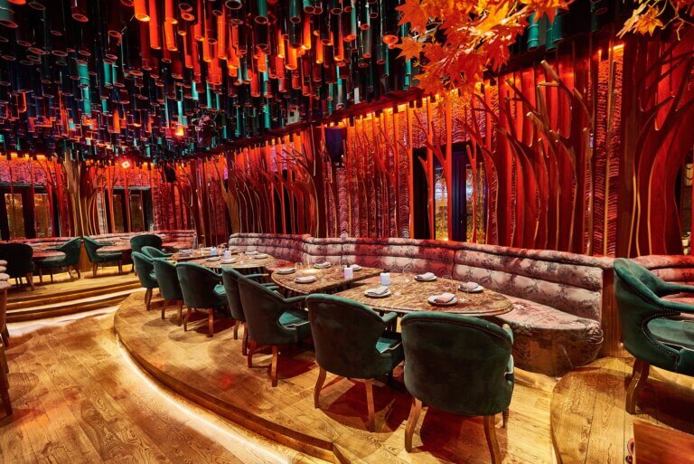 262036631 2032822950225235 612629629703876396 n 768x513