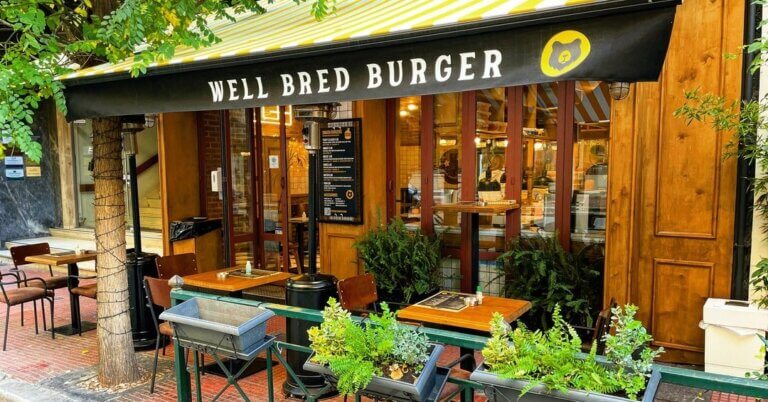 315543507 490264153069145 5894417253622306493 n 768x402