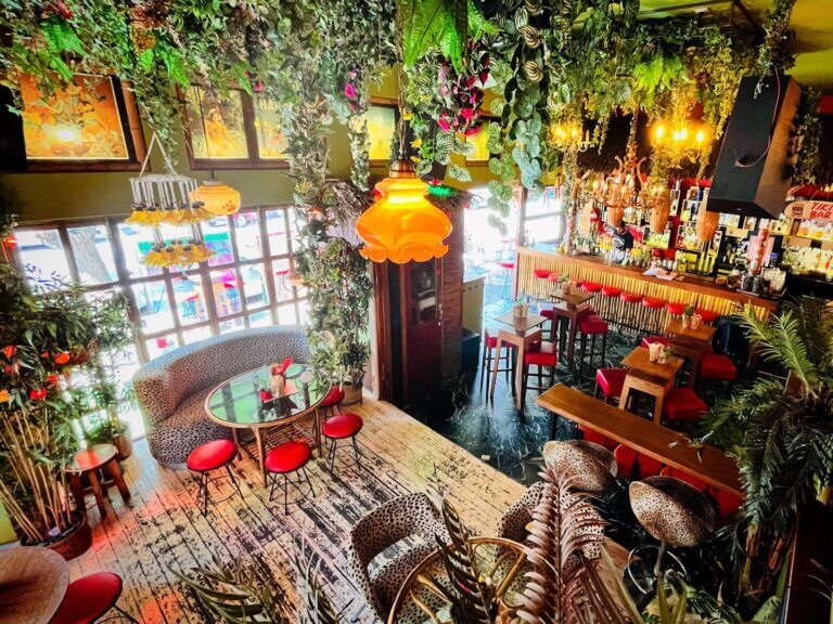 278672003 5150124341720163 2001876410173028202 n 768x576