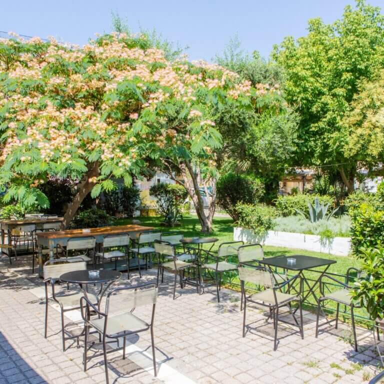 367386044 679743350837220 2900969413239233110 n 768x768