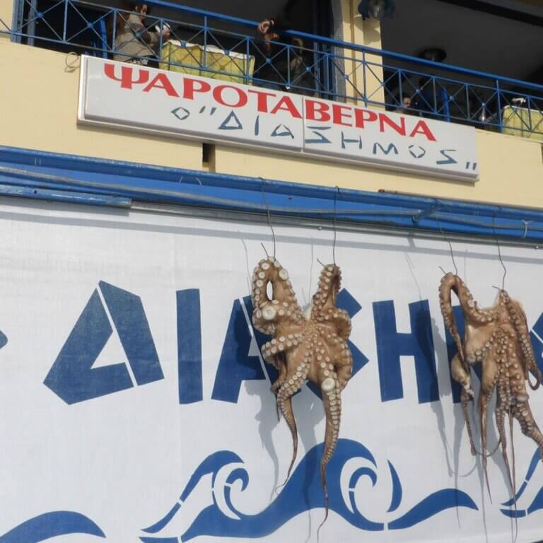 1799114 535784823205749 1634966941 o 768x768