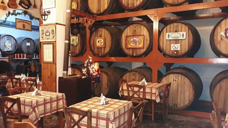 261262998 6432747453462797 5633108676637827064 n 768x432