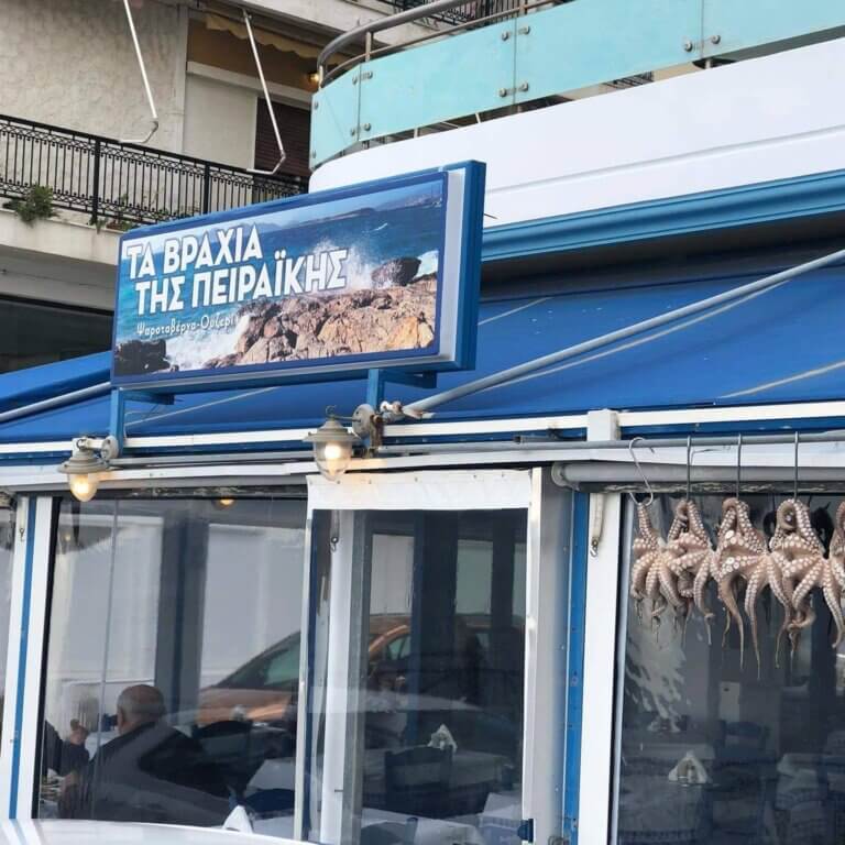 304801040 594835942086028 7751419733416250515 n 768x768