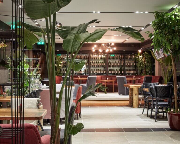 335460171 897811528221319 4317323366776540589 n 768x614