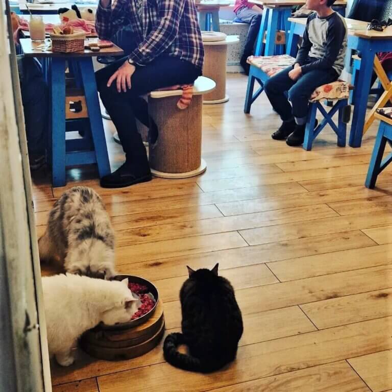 359830819 234270859445168 7073025363368077918 n 768x768