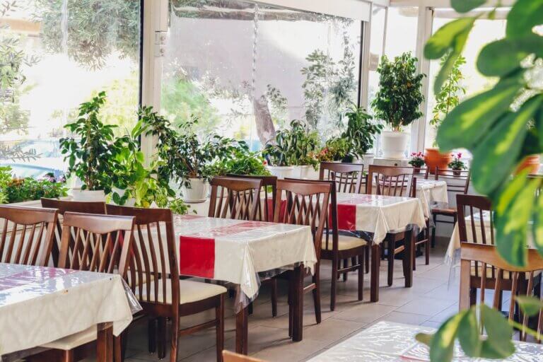 64945065 2369678853075279 8262627705741115392 n 768x512