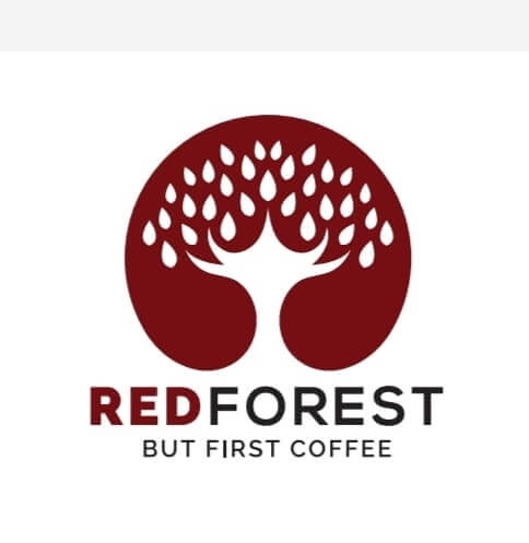 294677061 537902198122482 1135127683865011998 n