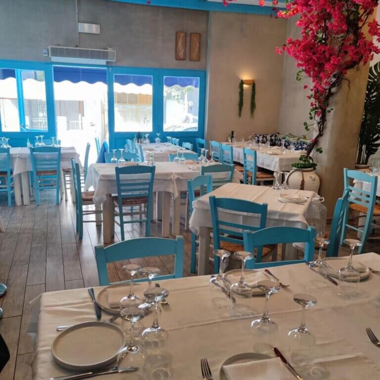 311217108 118297464385755 1348668826834514571 n 1 768x768